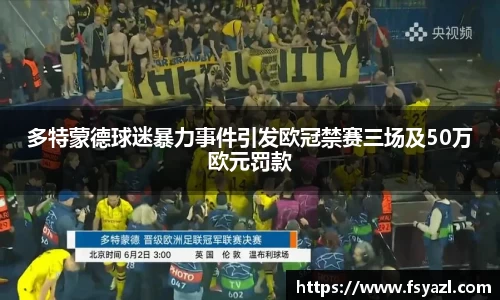 多特蒙德球迷暴力事件引发欧冠禁赛三场及50万欧元罚款